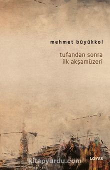 Tufandan Sonra İlk Akşamüzeri kitap kapağı