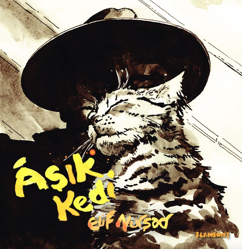 Aşık Kedi kitap kapağı