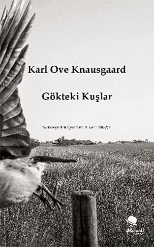 Gökteki Kuşlar kitap kapağı