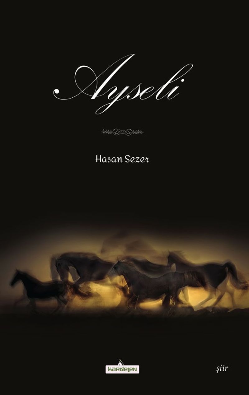 Ayseli kitap kapağı