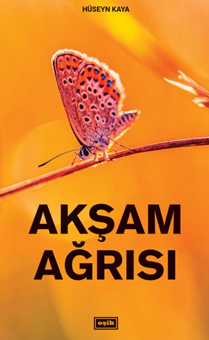 Akşam Ağrısı kitap kapağı