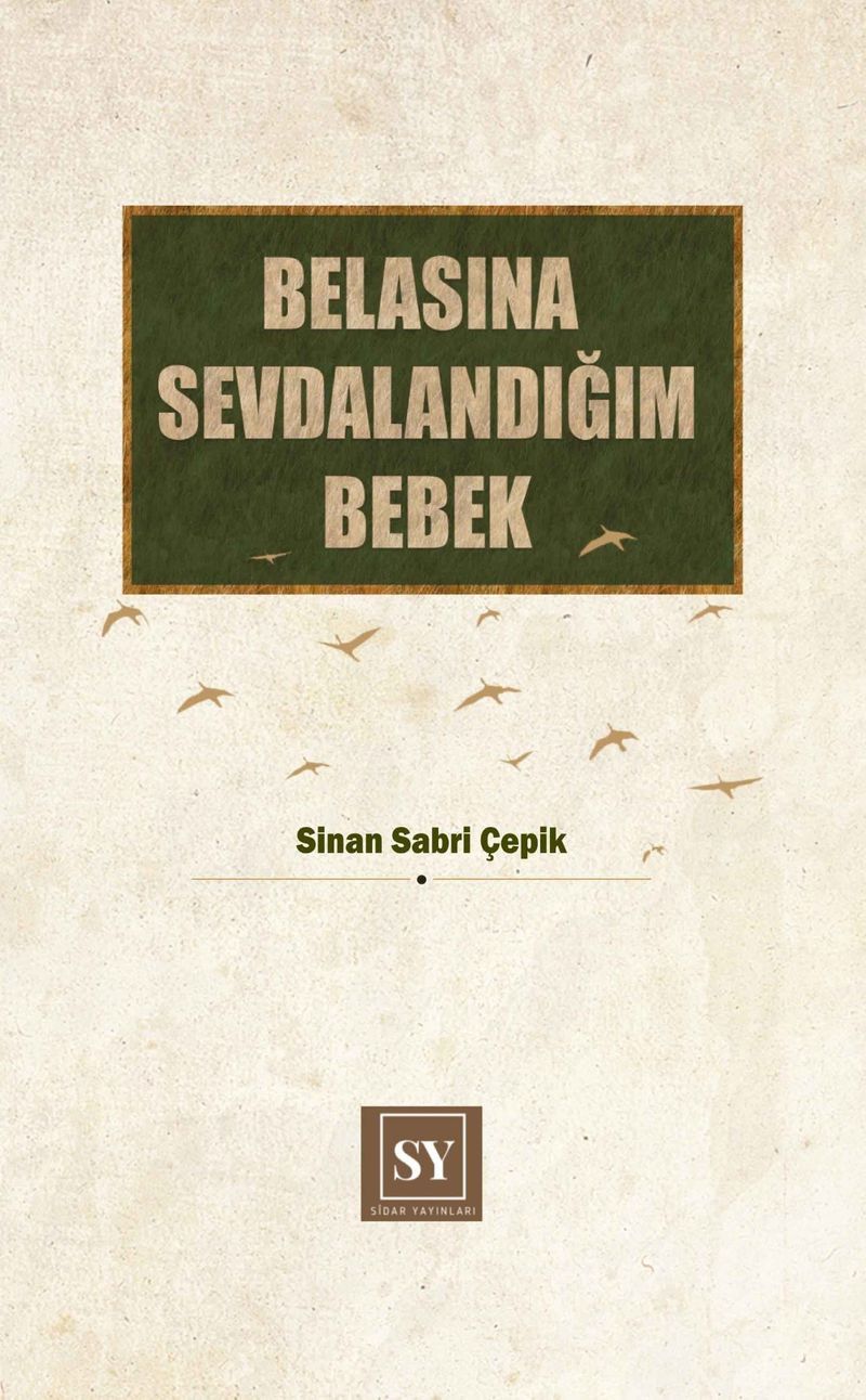 Belasına Sevdalandığım Bebek kitap kapağı