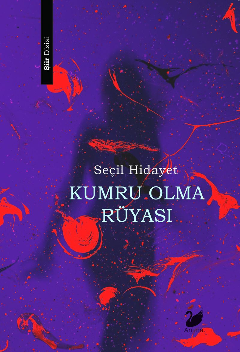 Kumru Olma Rüyası kitap kapağı