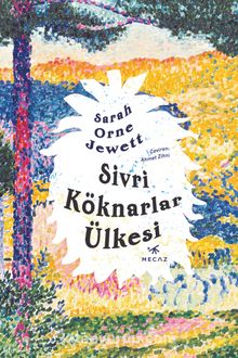 Sivri Köknarlar Ülkesi kitap kapağı