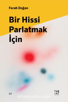 Bir Hissi Parlatmak kitap kapağı