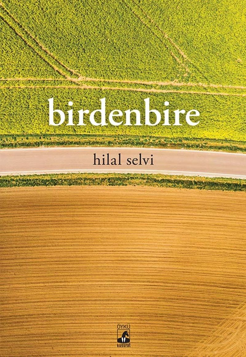 Birdenbire kitap kapağı