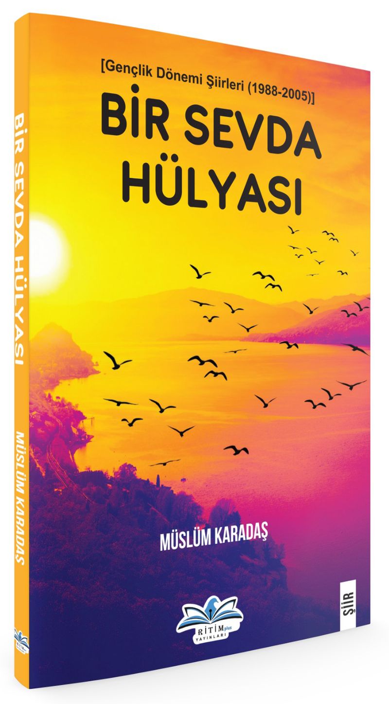 Bir Sevda Hülyası kitap kapağı