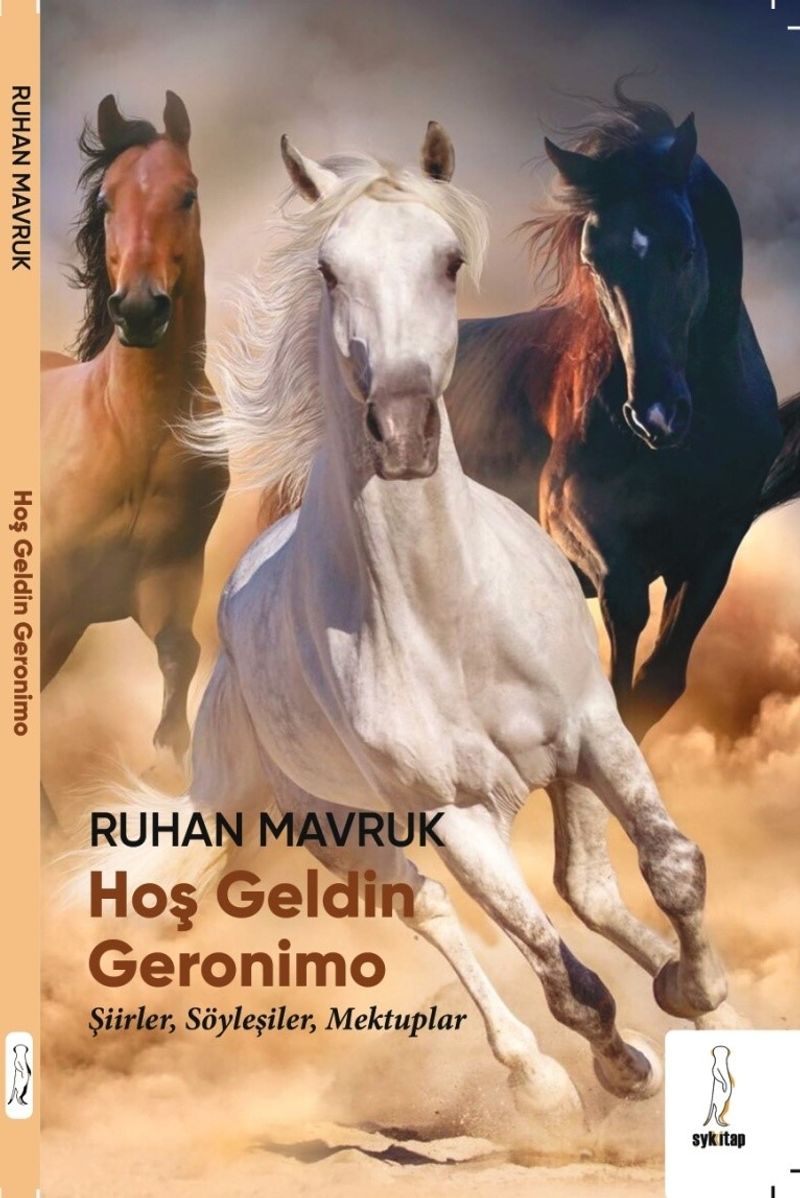 Hoş Geldin Geronimo kitap kapağı