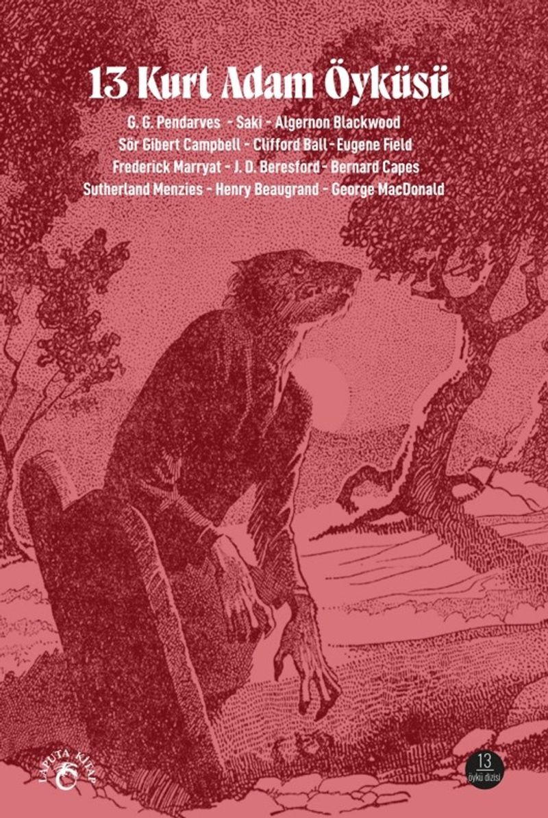 13 Kurt Adam Öyküsü kitap kapağı