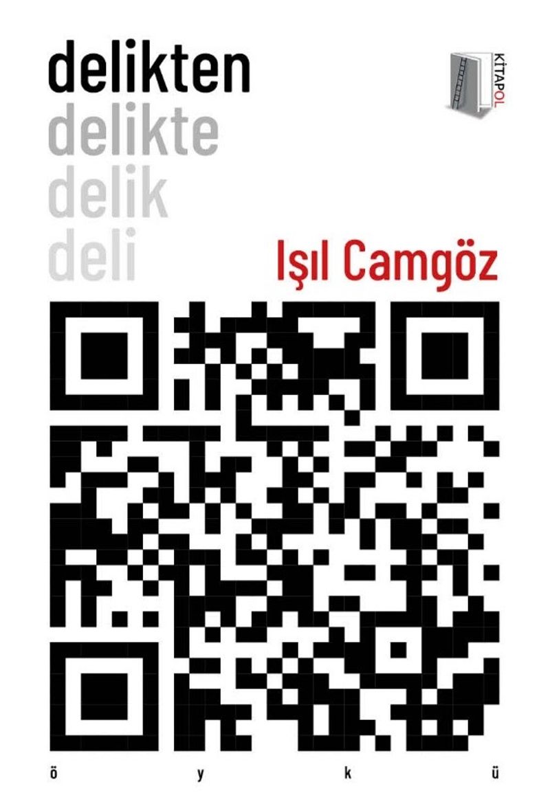 Delikten kitap kapağı
