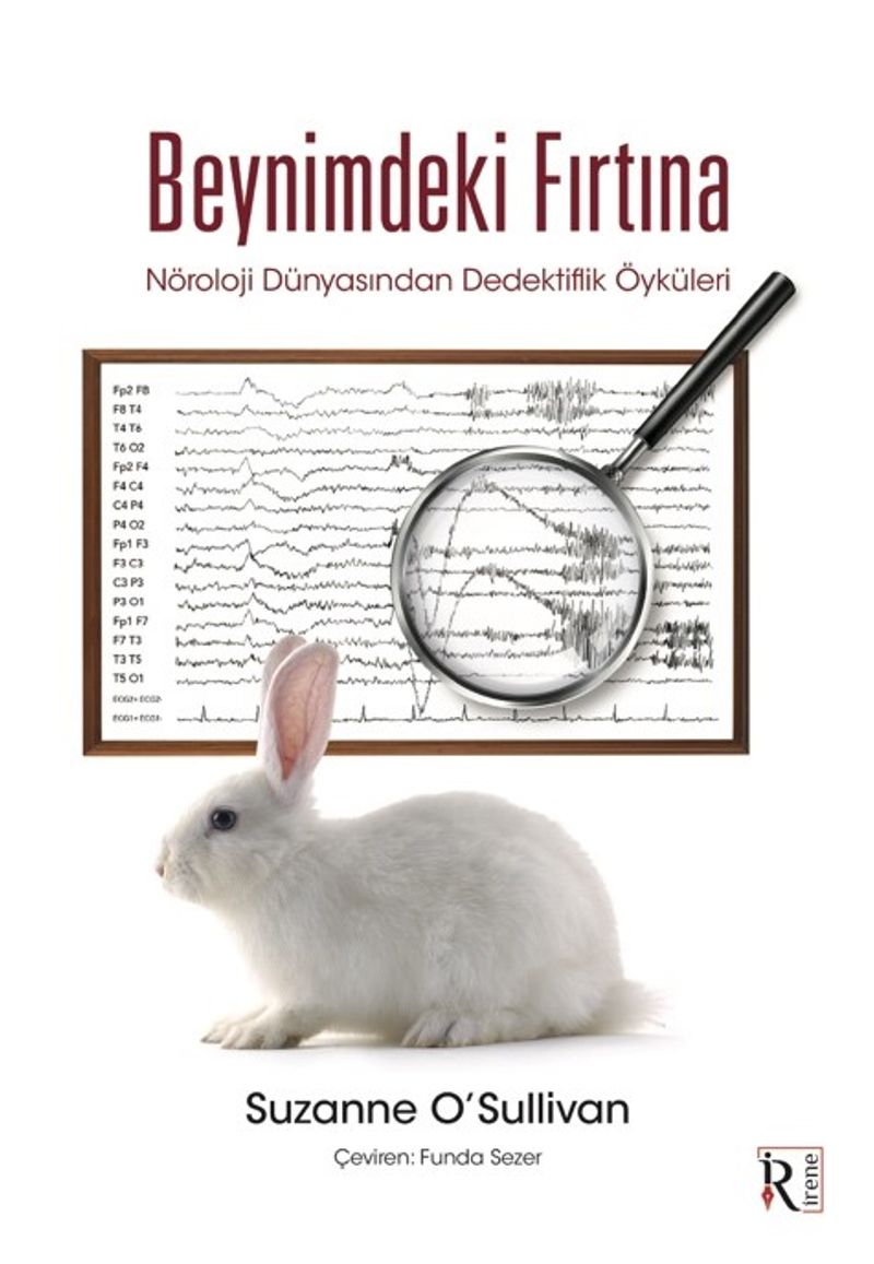 Beynimdeki Fırtına kitap kapağı