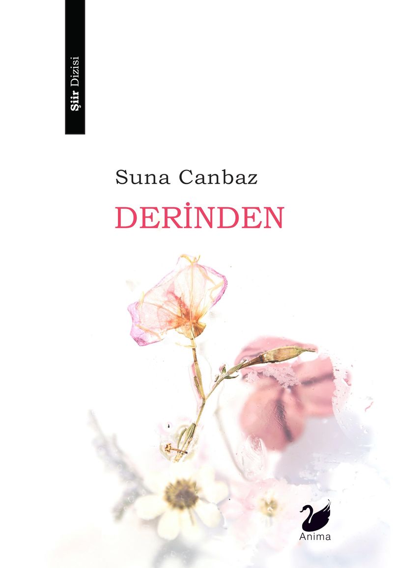 Derinden kitap kapağı