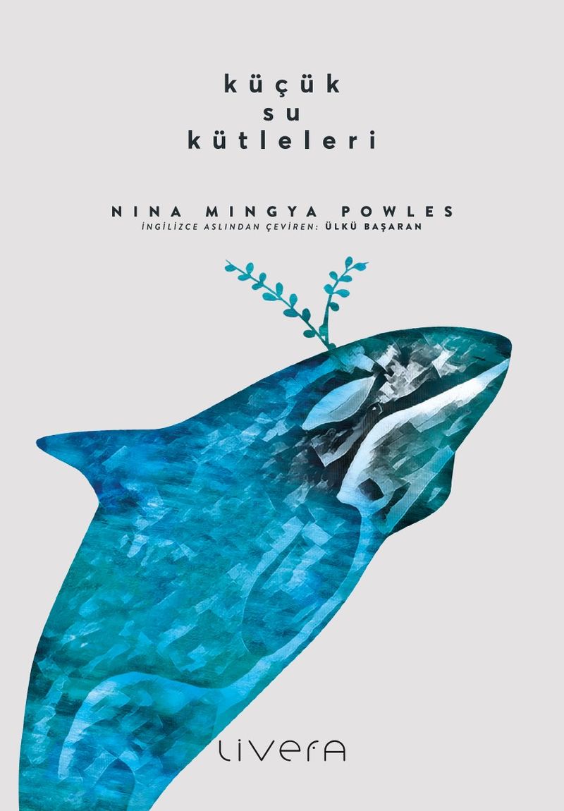 Küçük Su Kütleleri kitap kapağı
