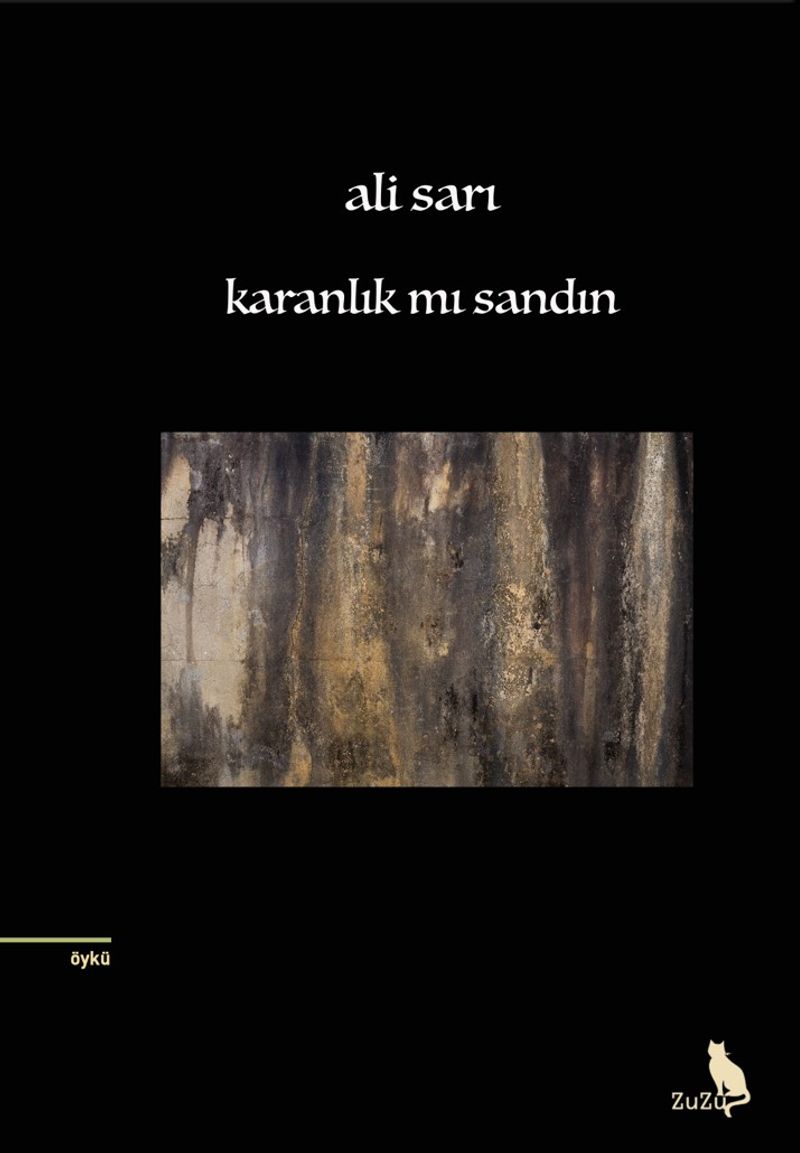 Karanlık Mı Sandın kitap kapağı