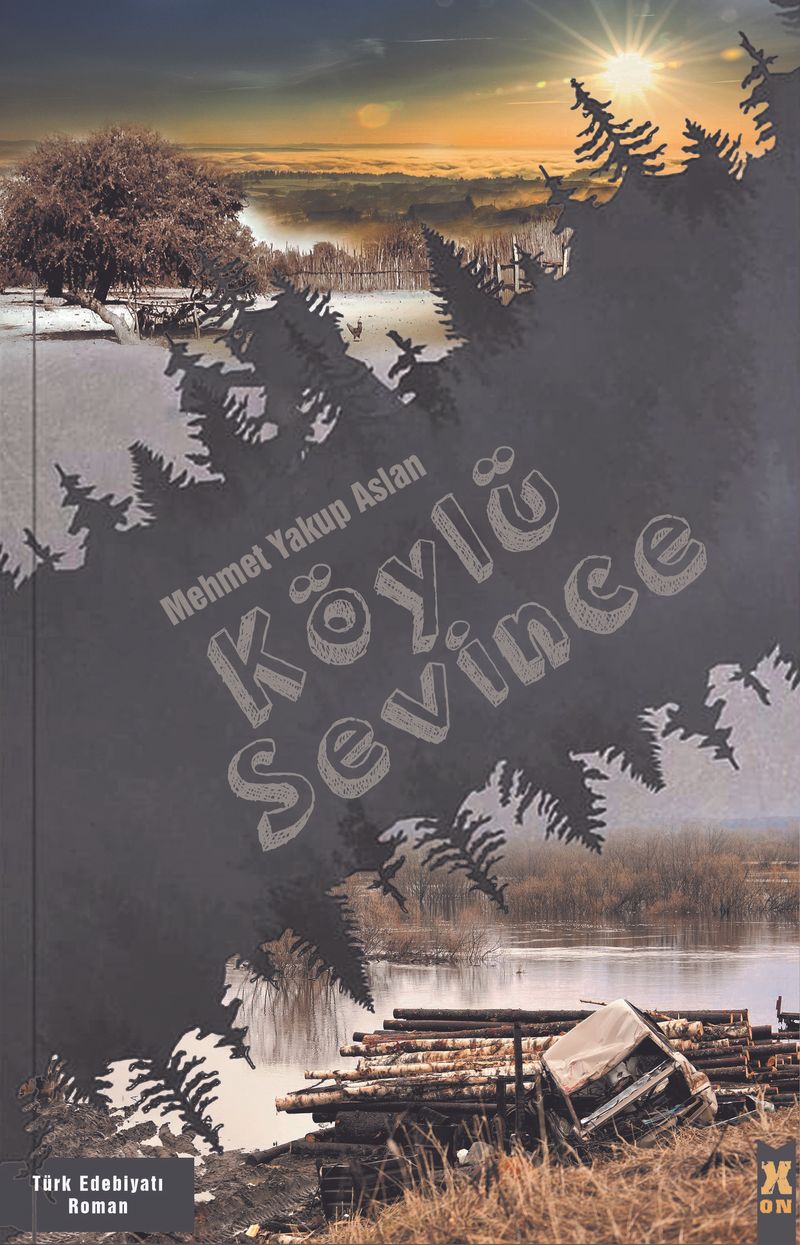 Köylü Sevince kitap kapağı