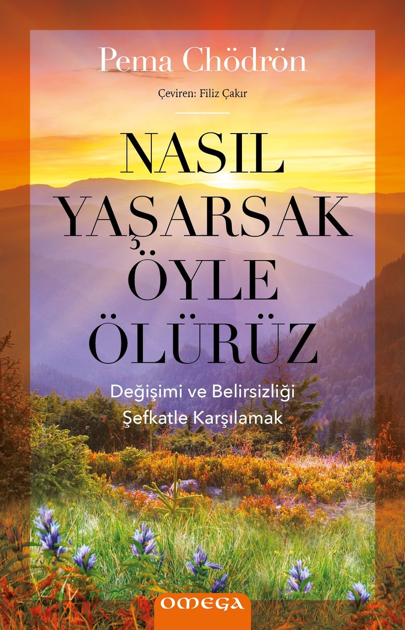 Nasıl Yaşarsak Öyle Ölürüz kitap kapağı