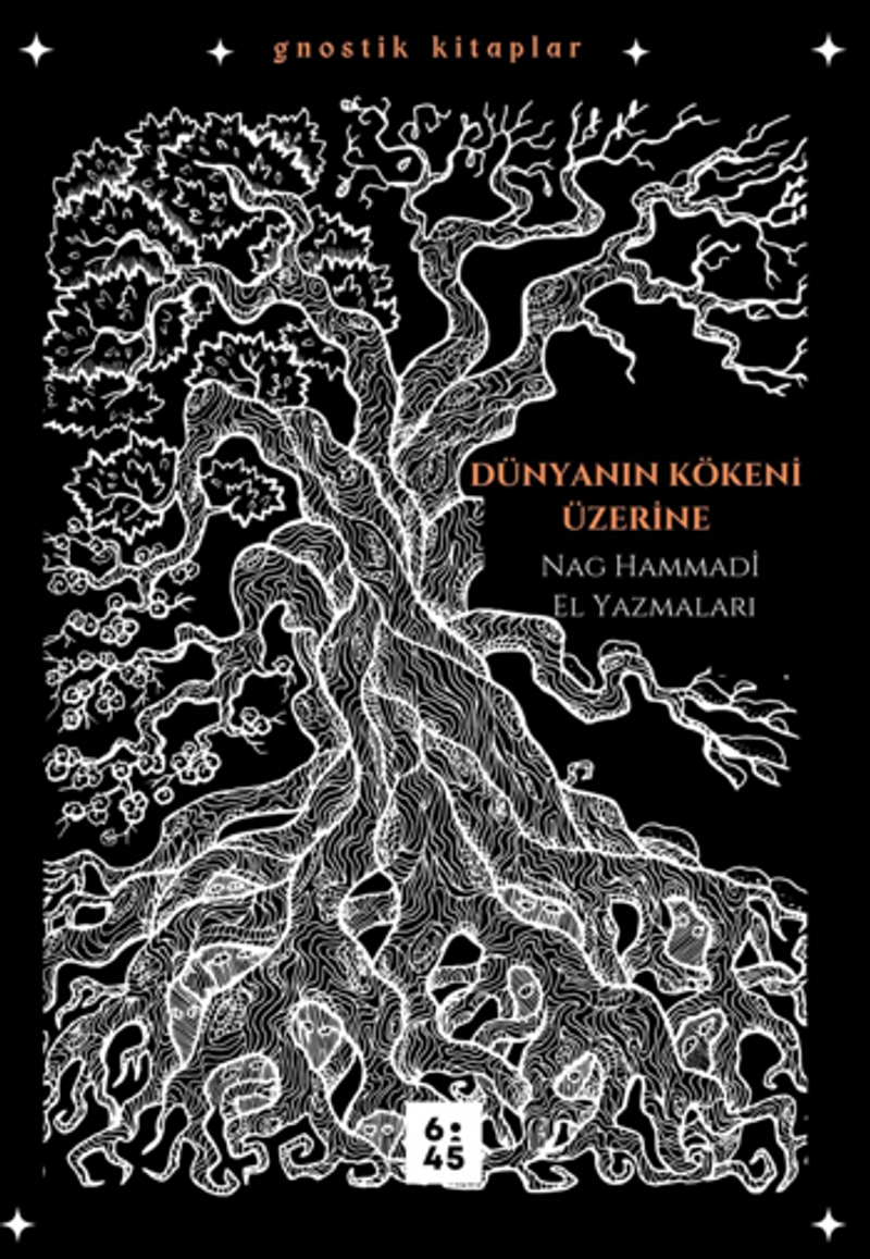 Dünyanın Kökeni Üzerine / Nag Hammadi El Yazmaları kitap kapağı