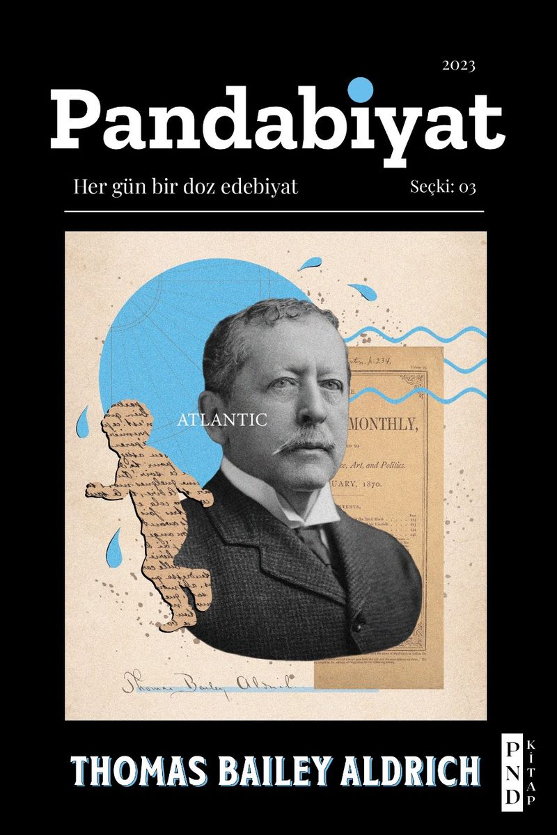 Pandabiyat 03 kitap kapağı