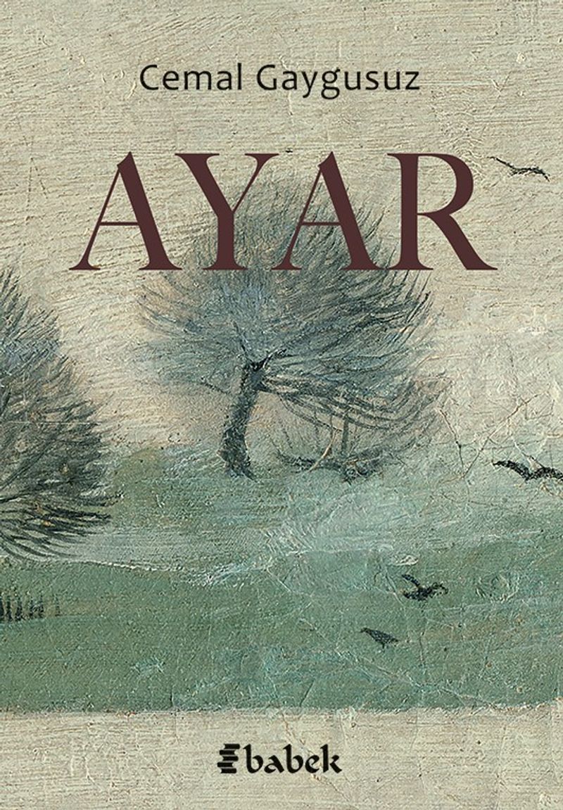 Ayar kitap kapağı
