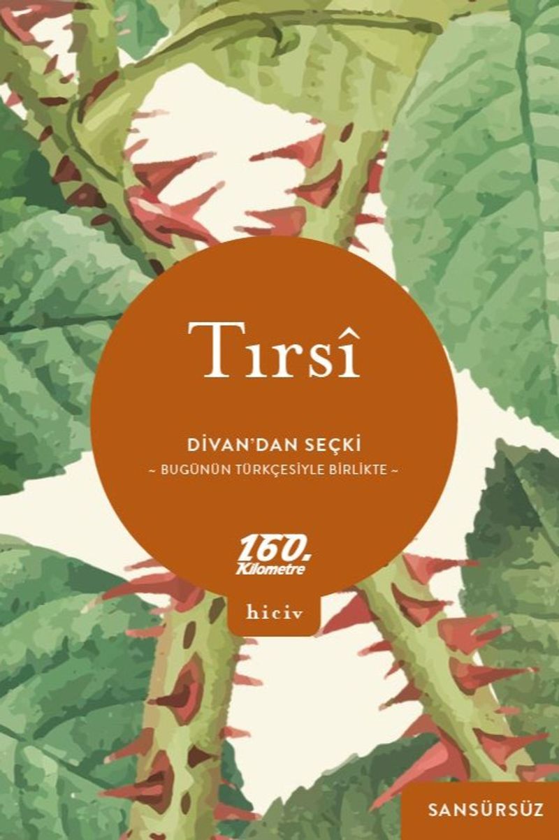 Divan'dan Seçki Bugünün Türkçesiyle Birlikte / Sansürsüz kitap kapağı