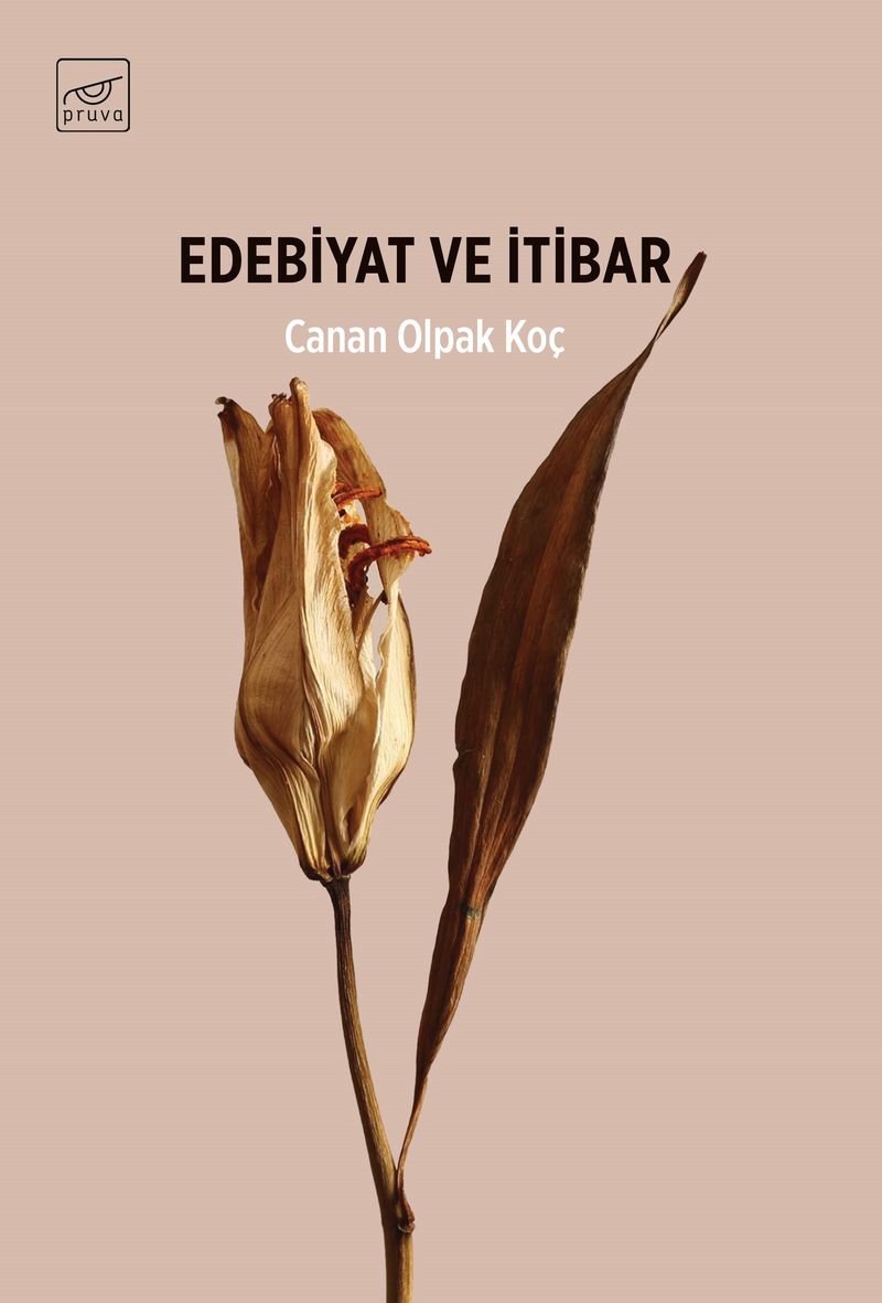 Edebiyat ve İtibar kitap kapağı