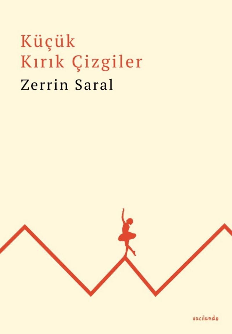 Küçük Kırık Çizgiler kitap kapağı