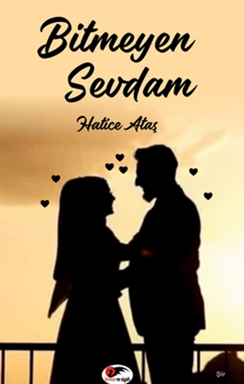 Bitmeyen Sevdam kitap kapağı