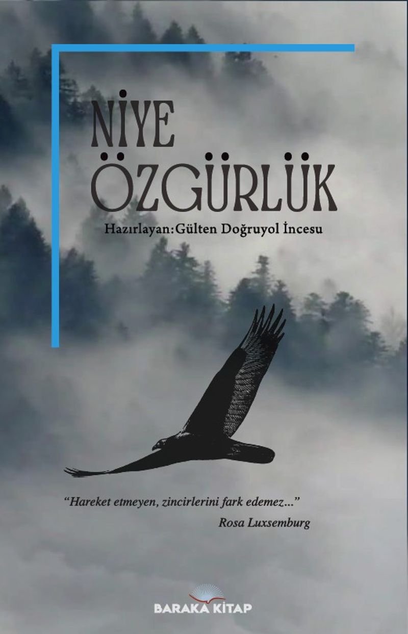Niye Özgürlük kitap kapağı