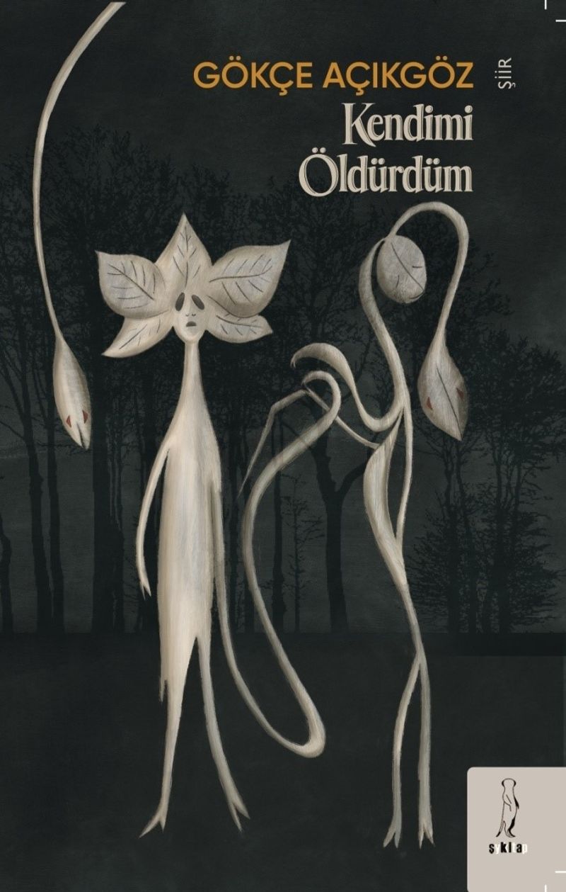 Kendimi Öldürdüm kitap kapağı