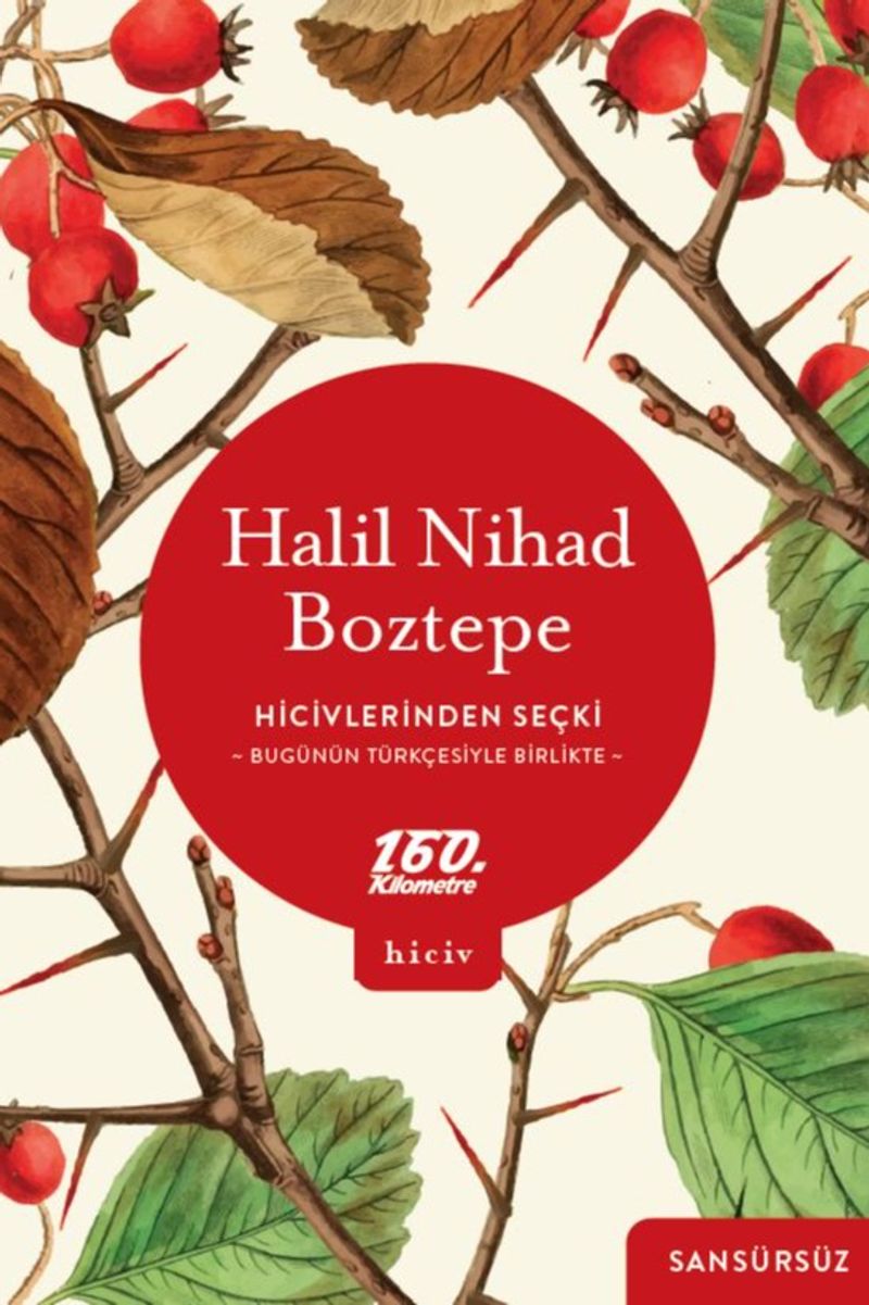 Hicivlerinden Seçki Bugünün Türkçesiyle Birlikte Sansürsüz kitap kapağı