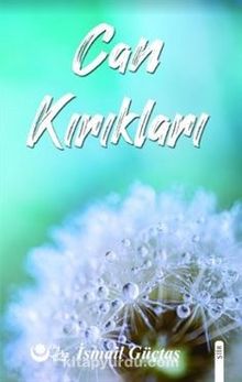 Can Kırıkları kitap kapağı