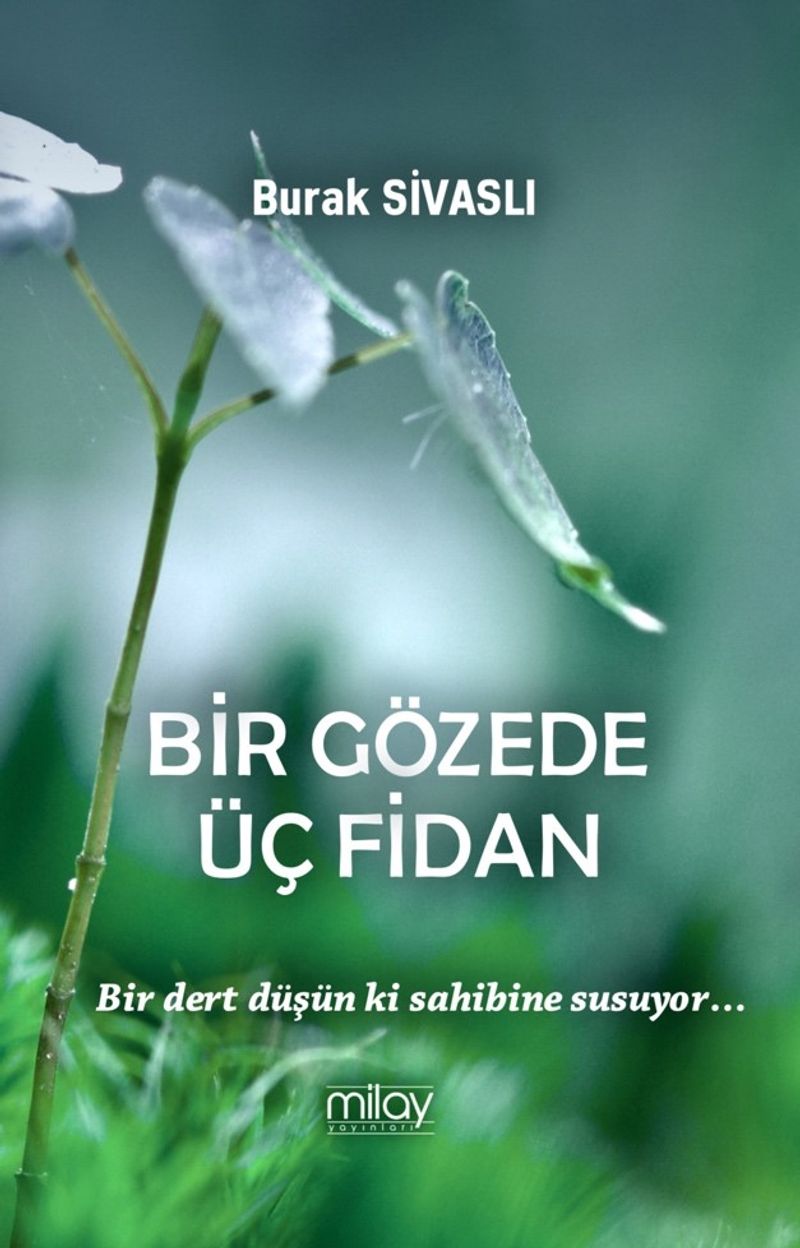 Bir Gözede Üç Fidan kitap kapağı