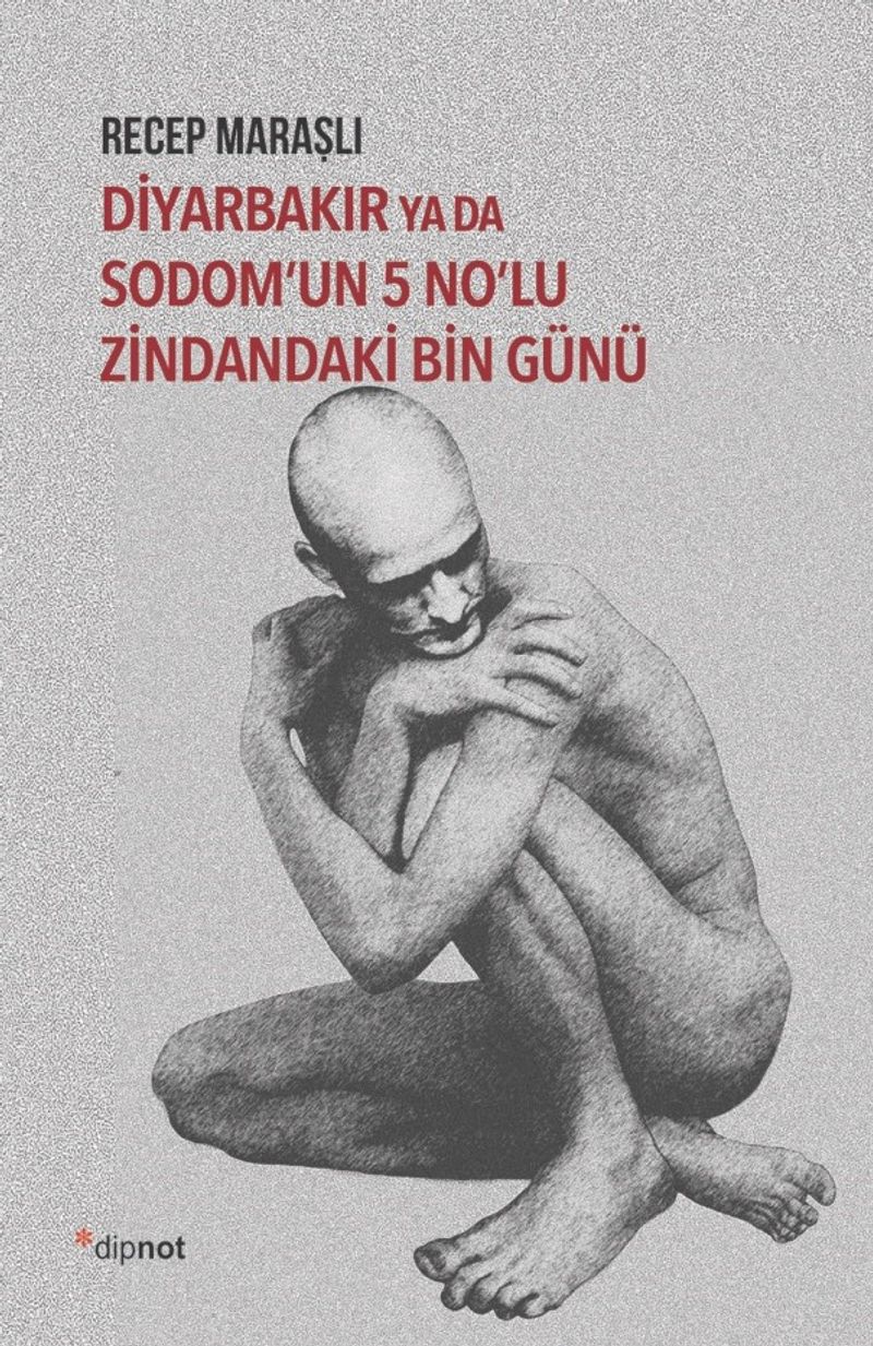 Diyarbakır ya da Sodom’un 5 No’lu Zindandaki Bin Günü kitap kapağı