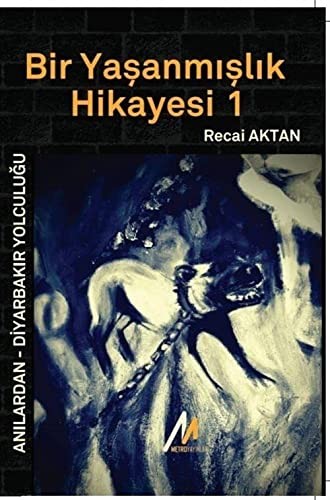 Bir Yaşanmışlık Hikayesi 1 kitap kapağı