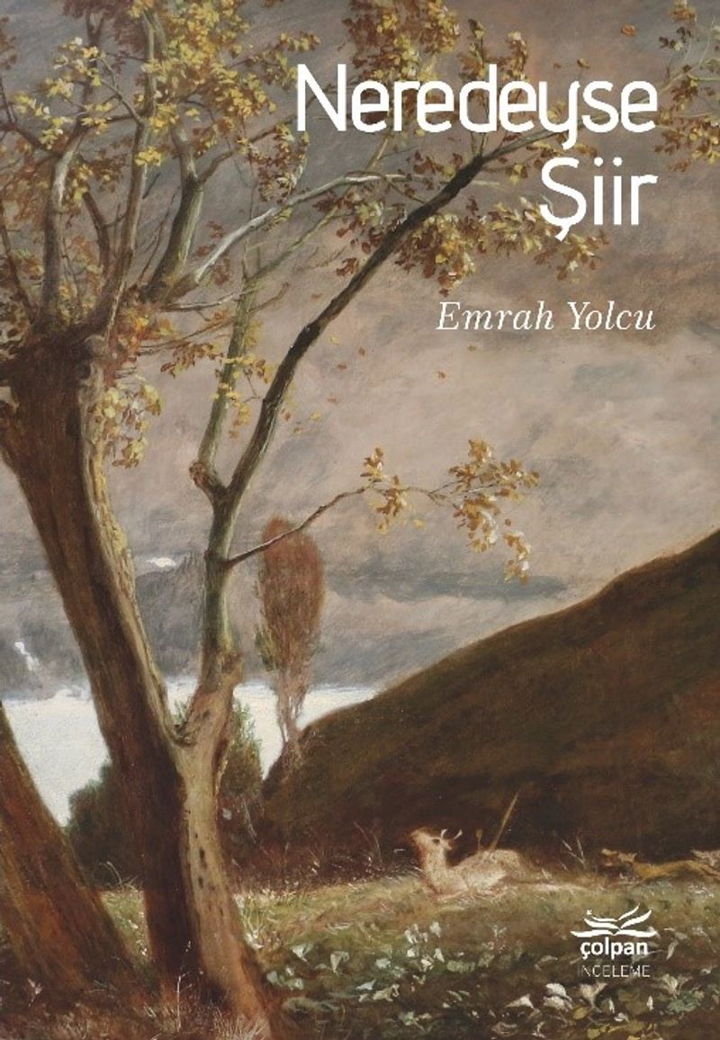 Neredeyse Şiir kitap kapağı