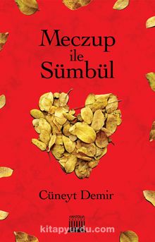 Meczup İle Sümbül kitap kapağı