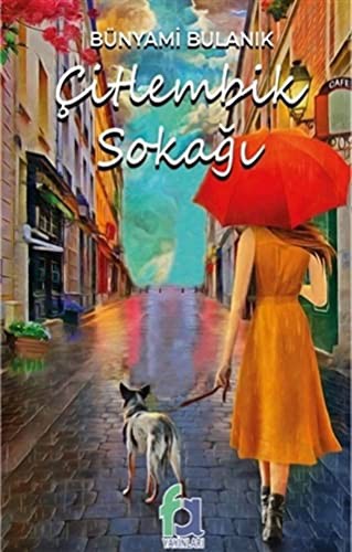 Çitlembik Sokağı kitap kapağı