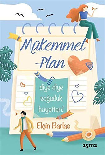 Mükemmel Plan kitap kapağı