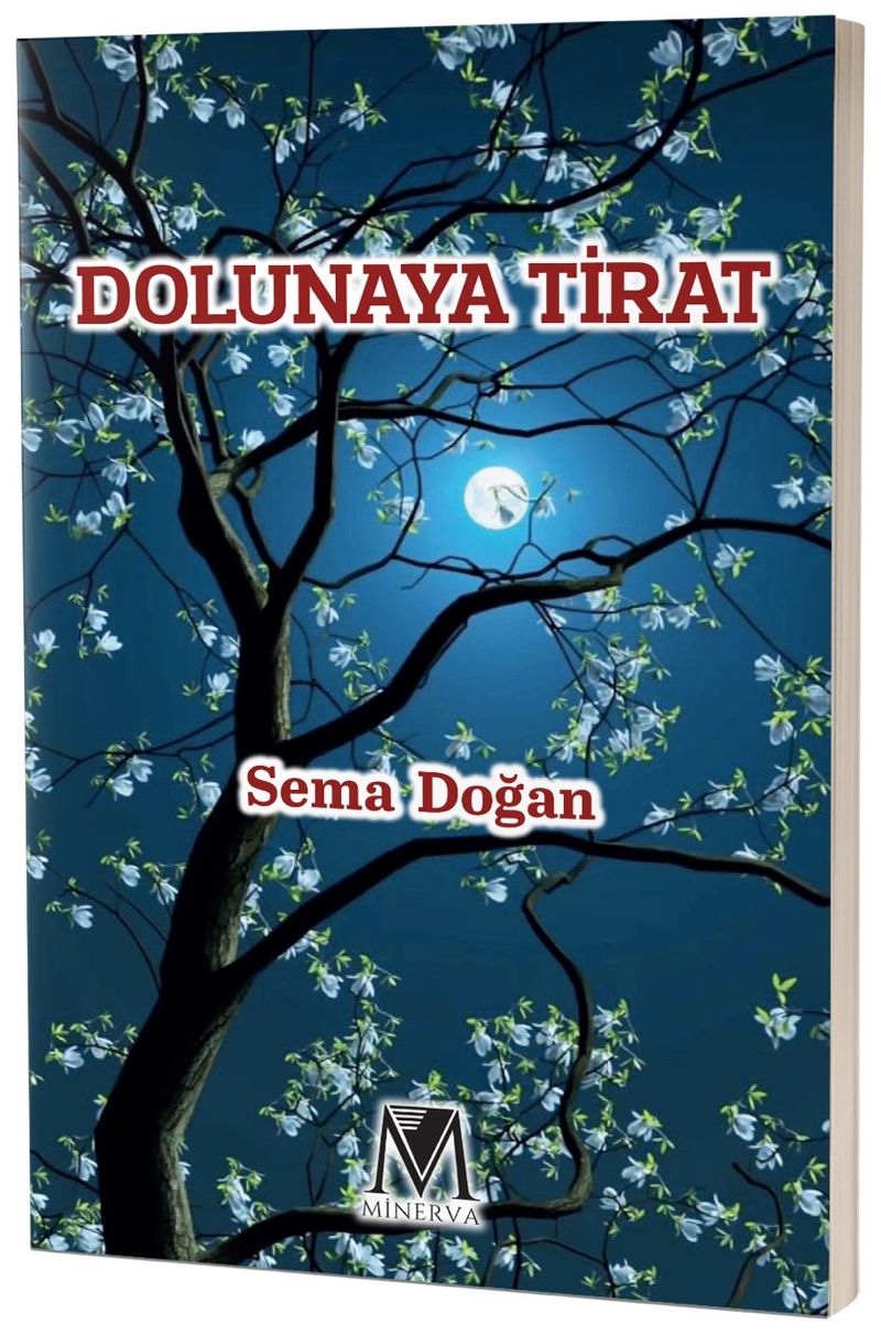 Dolunaya Tirat kitap kapağı