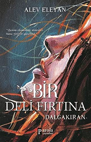 Bir Deli Fırtına kitap kapağı