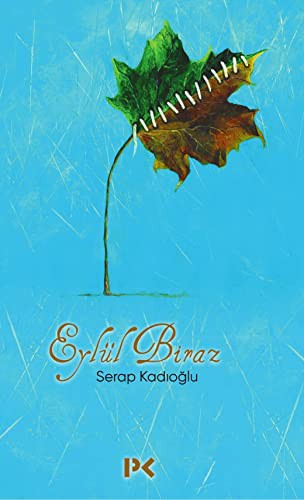 Eylül Biraz kitap kapağı