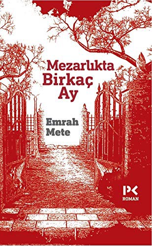 Mezarlıkta Birkaç Ay kitap kapağı
