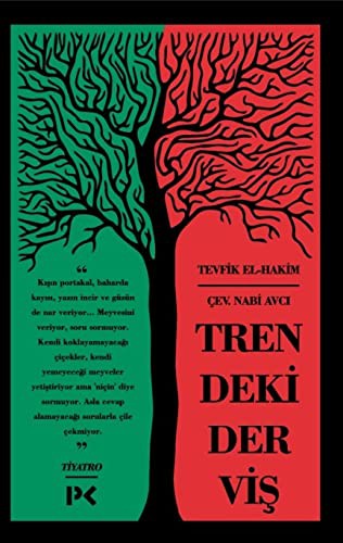 Trendeki Derviş kitap kapağı
