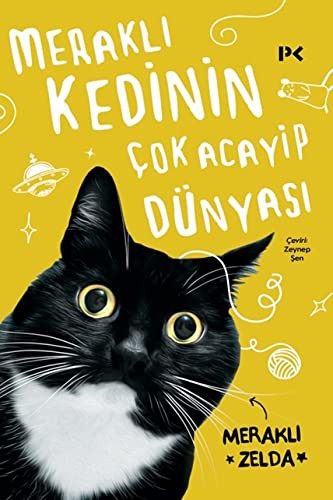 Meraklı Kedinin Çok Acayip Dünyası kitap kapağı