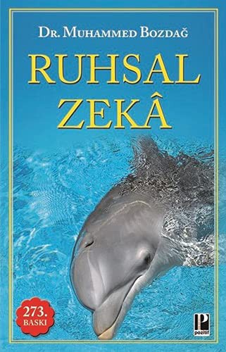 Ruhsal Zeka kitap kapağı