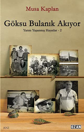 Göksu Bulanık Akıyor kitap kapağı