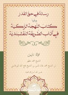 Risale Fi Hakkil Kader Veyeliha Kitabü’n Nühceti’z Zekiyye Fi Adabi’t Tarikati’n Nakşibendiyye kitap kapağı