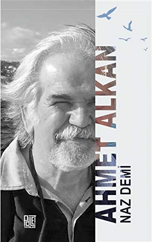 Naz Demi kitap kapağı