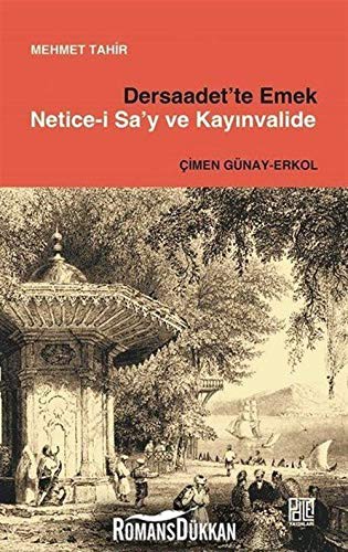 Dersaadet’te Emek Netice-İ Sa’y Ve Kayınvalide kitap kapağı