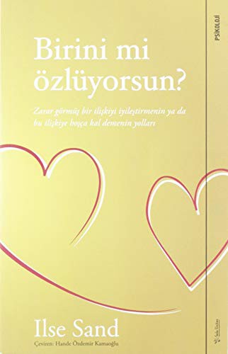 Birini mi Özlüyorsun kitap kapağı